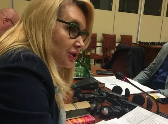 Kobieta przemawiająca i przeglądająca dokumenty przy stole z mikrofonami podczas posiedzenia sejmowej Komisji do Spraw Petycji dotyczącego przyjętego projektu SLD.