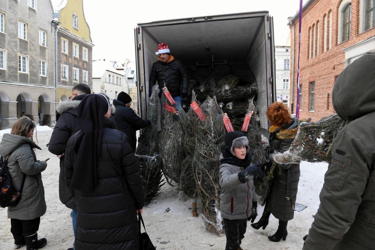 Na zdjęciu widać grupę ludzi, którzy wybierają choinki z samochodu dostawczego w zimowej scenerii.